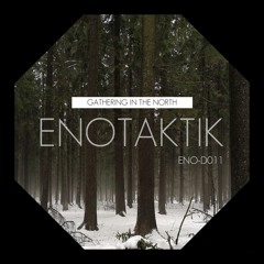 ENO-D 011 Gathering in the North V/A PREVIEW