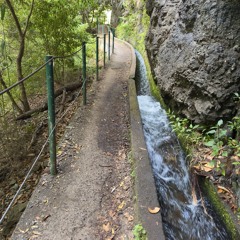 Levada