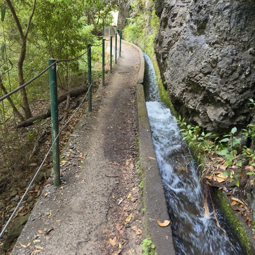 Levada