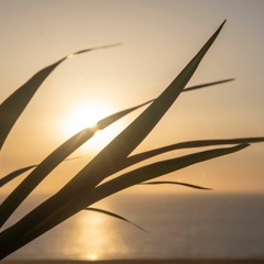 'Phat' Phil Cooper Sunset Session at Hostal La Torre, Ibiza 25th July 2020 SAMPLER - SEE DESCRIPTION