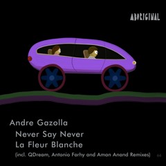 Andre Gazolla - Never Say Never (Aman Anand Remix) [ABORIGINAL]