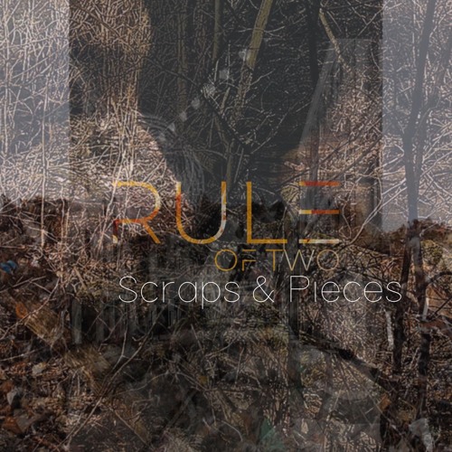 Rule Of Two