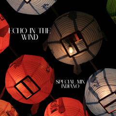 Echo in the Wind_Dj/Mix_January 2026 (Solamar Records Selection)