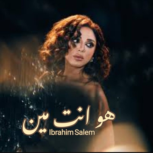 هو انت مين رائعة انغام من البوم تيجي نسيب 2024