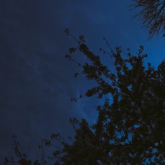 "12.10.2020" by Joaquin Waters