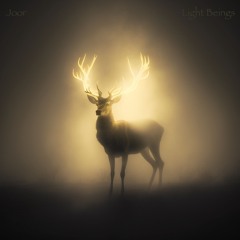 Light Beings