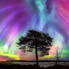 Fingerstyle accoustic