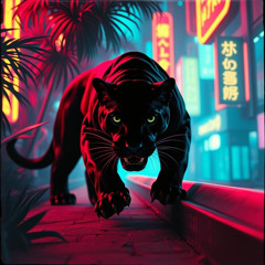 Midnight Vice