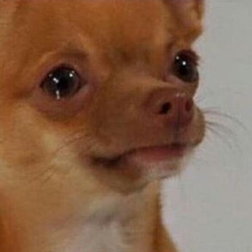 lời tạm biệt chưa nói