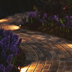 Resting Mind Vol 2 - Path of the Garden (Ambient Mix)