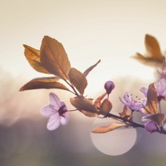 Epilogue by xannedaymorning (original song teaser)