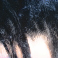 Withlast