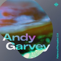 Patterns of Perception 114 - Andy Garvey