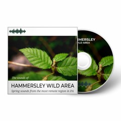 DEMO: Hammersley Wild Area, PA | Personal Listening Album on BandCamp