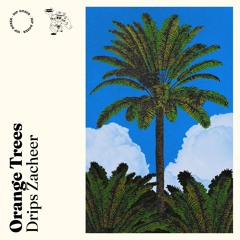 Drips Zacheer - Orange Trees