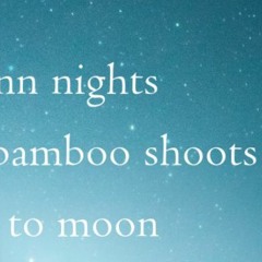 Bamboo_Naviarhaiku511