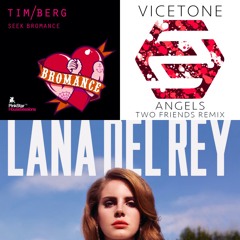 Seek Bromance x Summertime Sadness x Angels (Kyante Wilson Mashup)