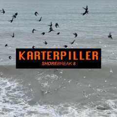 Shorebreak 8