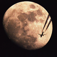 fly me around the moon