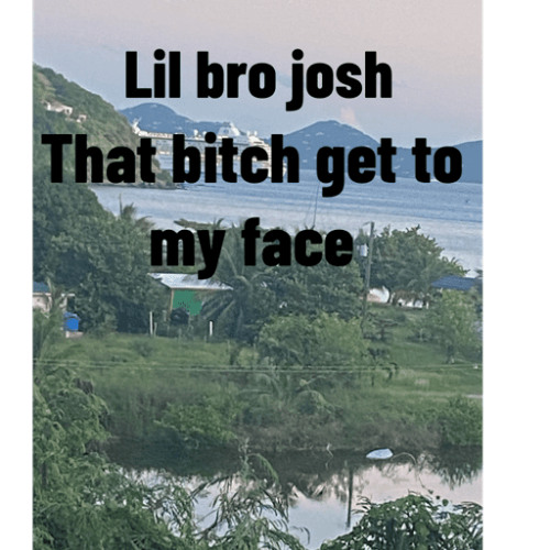Stream That Bitch To My Face-Lil Bro Josh Ft. laylow#ricky 💥🔥 by Lil ...