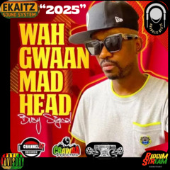 Busy Signal - Wah Gwaan Mad Head [Ekaitz Version] "2025"