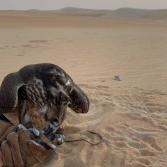 تحزموا يا ربوعنا | بندر بن عوير