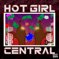HOT GIRL CENTRAL MIX - OLD 2 NEW By DJ EMZ (@EmeEsther_)