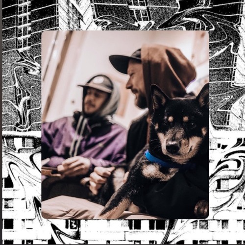 Canossa - bizar feat. Qper