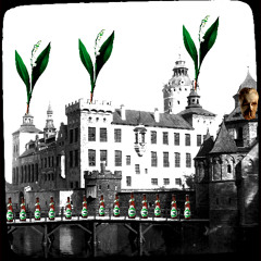liljekonvaljernas hufvudstad