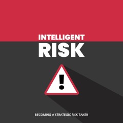 Intelligent Risk Self Help PLR Audio Sample