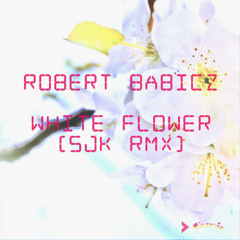 Robert Babicz - White Flower (SjK Remix)