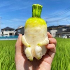 在线学习中文=www.easonchinese.com=(∩^o^)⊃━☆