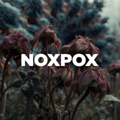 decaying flowers