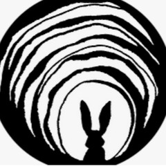 dj MardiGras - The Rabbit Hole