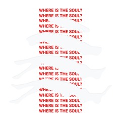 WHERE IS THE SOUL?