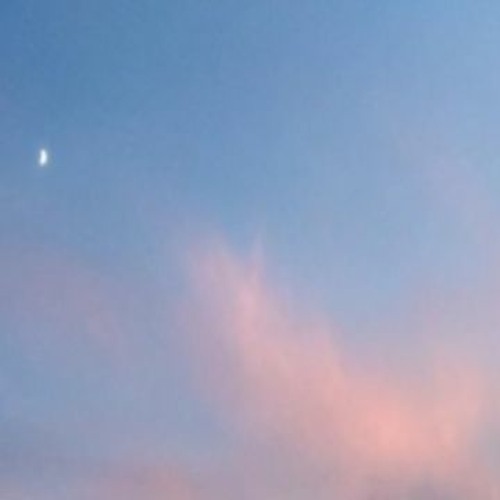 Everything (prod. Cloud Cadet)