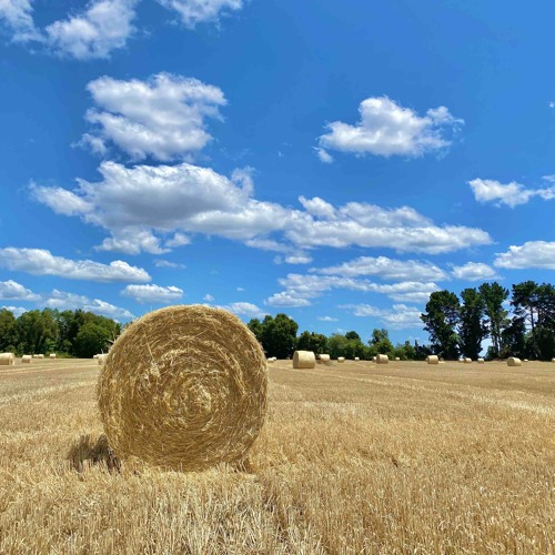 Sampha - Cumulus : Memory (Levicoy Edit)