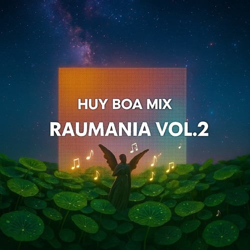 Music From Raumania Vol 2 - Huy Boa Mix