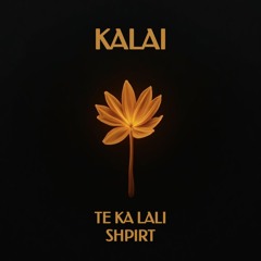 Silva Gunbardhi ft. Mandi ft. Dafi Derti - Te ka lali shpirt (KALAI Albanian House Remix)