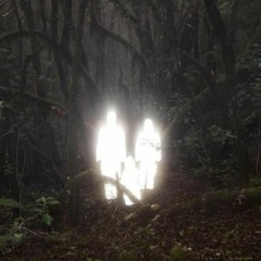 jungle /w mathew war