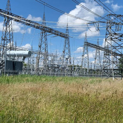 Advertiser's Monkey Slaves