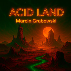 Acid Land
