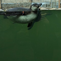 Some Time To See How It Is