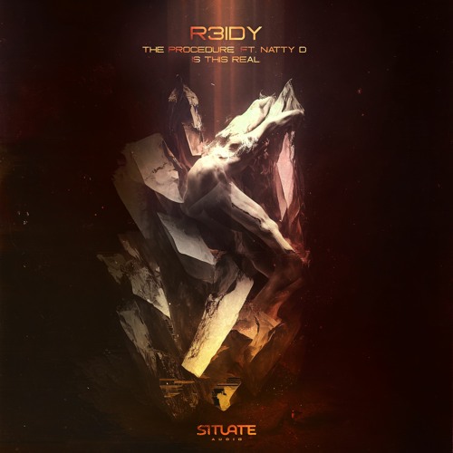R3IDY - The Procedure (ft. Natty D)