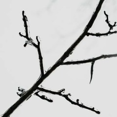 Glad U Came REMIX (Liilz ft. ZieZie V Solus XCIV)