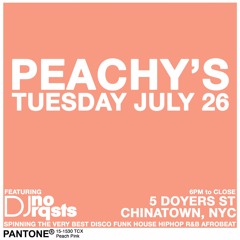 LIVE! at Peachy's in NYC July 26th pt. 5