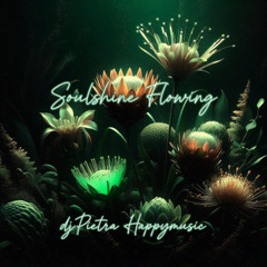 Soulshine Flowing (extended mix)