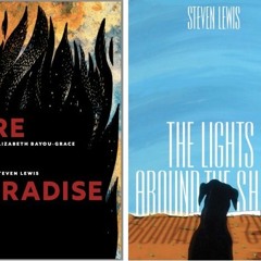 The Lights Around the Shore: An Interview with Steven Lewis
