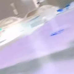 zai - molly (ig snippet)