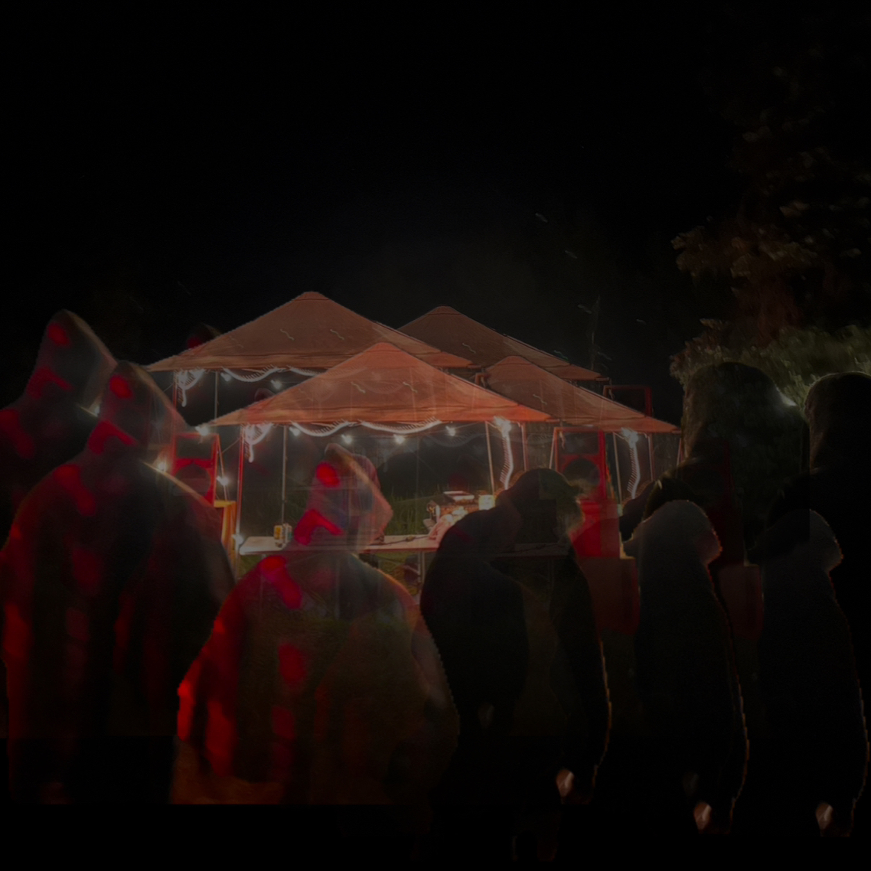 EP 171 - MoJo - Live @ Forest Creatures 6 Sleepy Hollow - Starlight Thursdays Episode 171 episode artwork